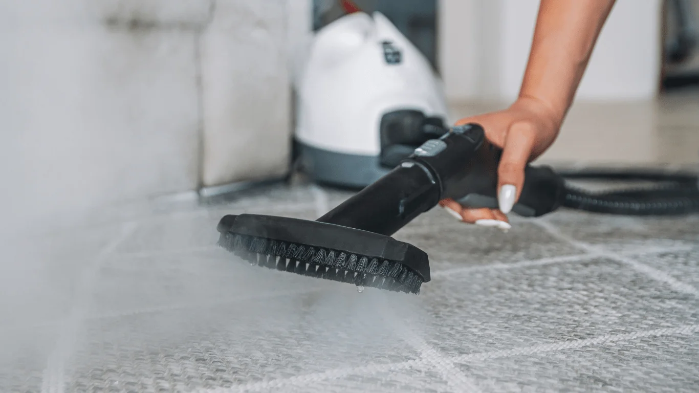 парочистачка