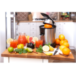 Цитрус преса Rohnson R- 411